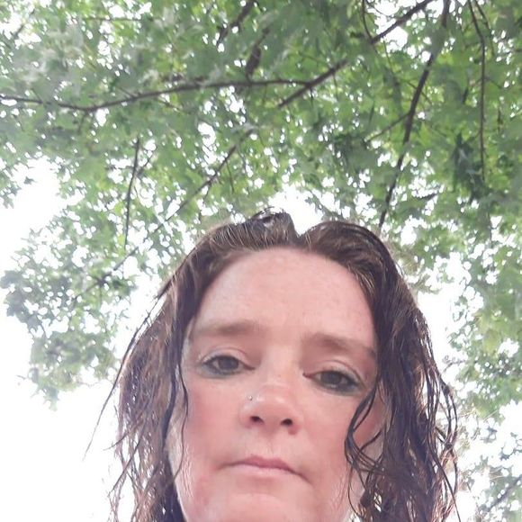 Meet your Posher, Patches - Picture 1 of 1